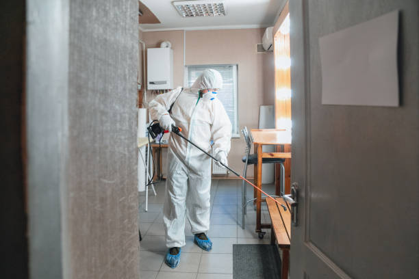 Best Mold Prevention Services  in Hudson Falls, NY