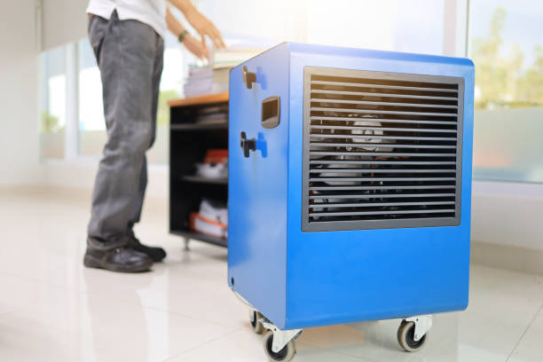 Best Air Quality Testing for Mold Spores  in Hudson Falls, NY